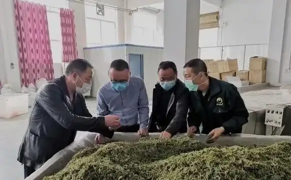 电脑升级🚀华硕主板台式机天梯图详解，助你全面提升性能