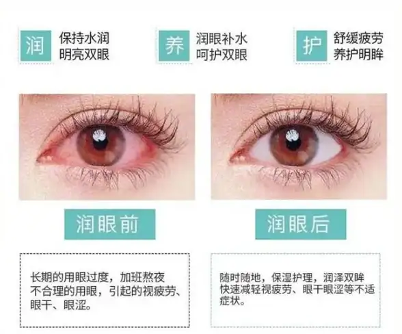 想体验不同类型精品游戏？223乐园正版不就是你的最佳选择吗？