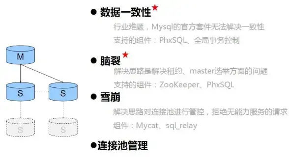 ⚡捕虫技巧⚡必看攻略⚡心动小镇豹纹网蛱蝶最佳捕捉时间与天气全解析！