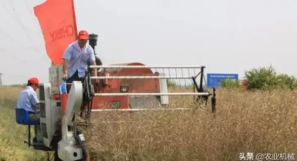 还在寻找高效浏览工具？旗鱼浏览器让你体验极速上网的快感！