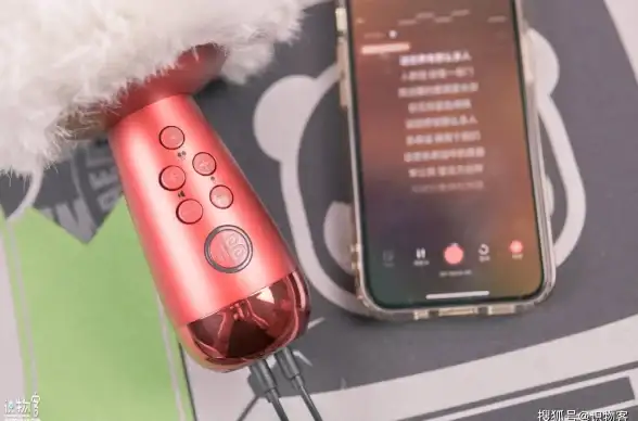 命运圣契少女的羁绊：开局角色选择与资源优先级解析
