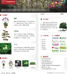 硬件发烧友🔥超频技巧深度解析，玩转硬件极限