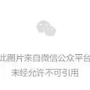 无悔华夏 无悔攻略 教你轻松驾驭界外探索发财树快速收益