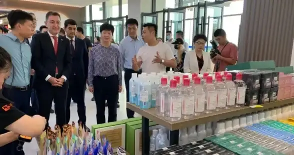 重装系统精选合集｜2024年热门电脑系统一键重装软件推荐汇总💻效率