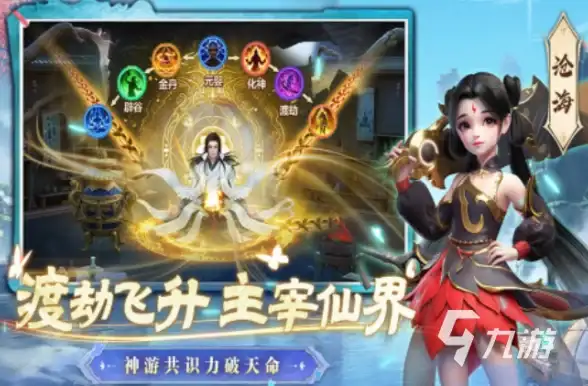 相机推荐📷数码相机天梯图详解：新手如何高效阅读与选择