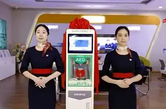 服务器应用案例,多IP站群-昆明益华云多IP站群服务器应用案例
