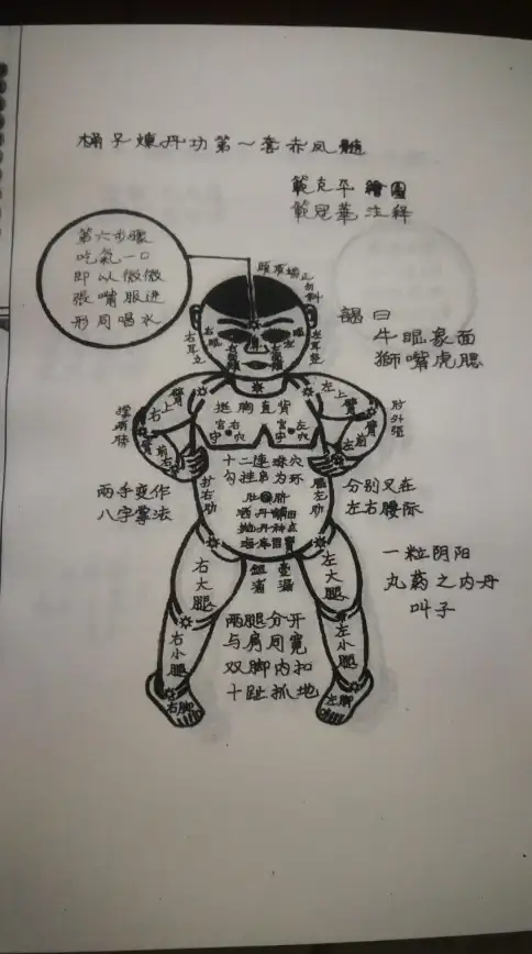 热门装备✦职业精选✦实战解析｜dnf明王战甲职业推荐及表现揭秘