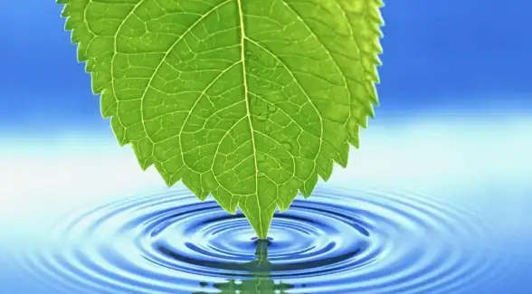 需要随时随地编码？为何不试试网友推荐的webcat编辑器？