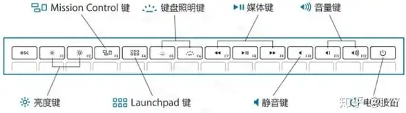照片不够完美？让AirBrush的智能修图功能帮你轻松搞定！