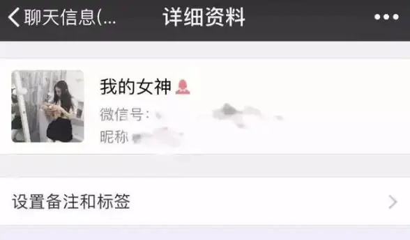 服务器租用,带宽对比-NTT带宽香港站群服务器价格对比