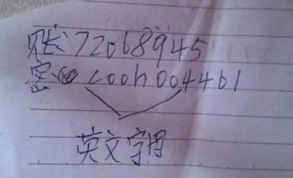 攻略📚技巧 航海王壮志雄心高效提升意志属性全攻略解析