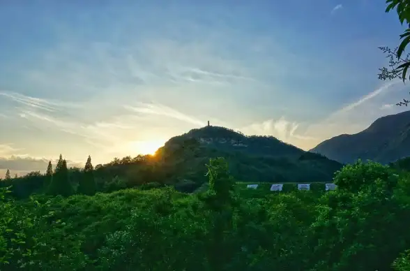 测试APP网络兼容性太难？WZ定制弱网APP支持多参数定制，轻松搞定！