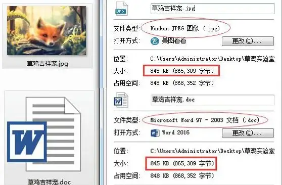 驱动安装 惠普打印机驱动下载全攻略，快速获取官方最新版驱动程序