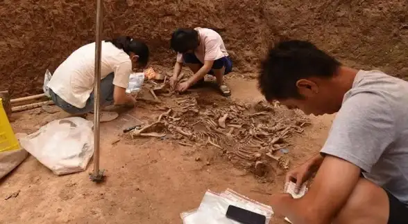 江湖热游🔥装备推荐 狂暴出击 无中神拳前期必备攻略