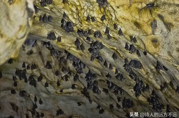 🔥实用攻略🔥跳跃技巧·连招秘籍 远光84跳跃技能升级全解析