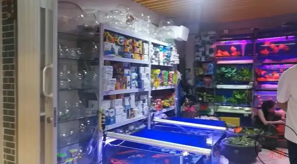 还在为找不到优质短剧发愁？来看短剧APP海量内容免费看！