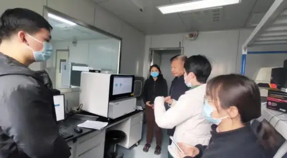 生活技巧🍀猫咪养护 家居摆设 小森生活猫碗放置尺寸巧调攻略