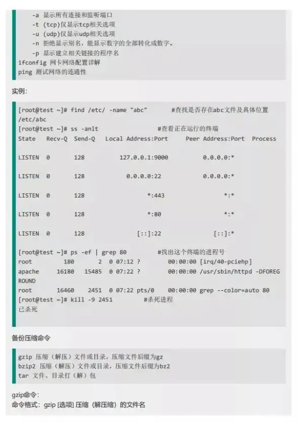🔥策略攻略】燃爆全场！龙之岛战纪》神域战旗必胜阵容搭配指南