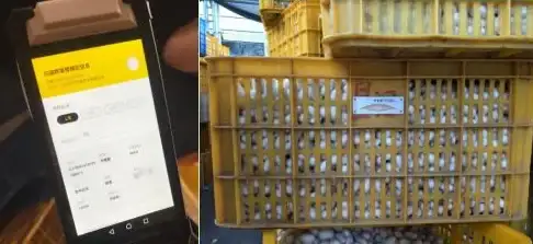 还在为手机文件管理发愁？北慕工具箱一键智能搞定！