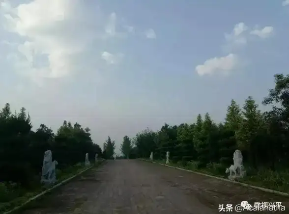谁说儿童手表不能换管理员、加群聊？小寻电话手表APP的这些实用功能你体验过吗？