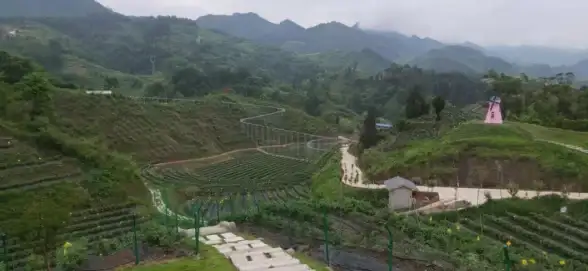 想网购省钱？淘粉吧APP让你购物还能拿高达95%返利，不试试吗？