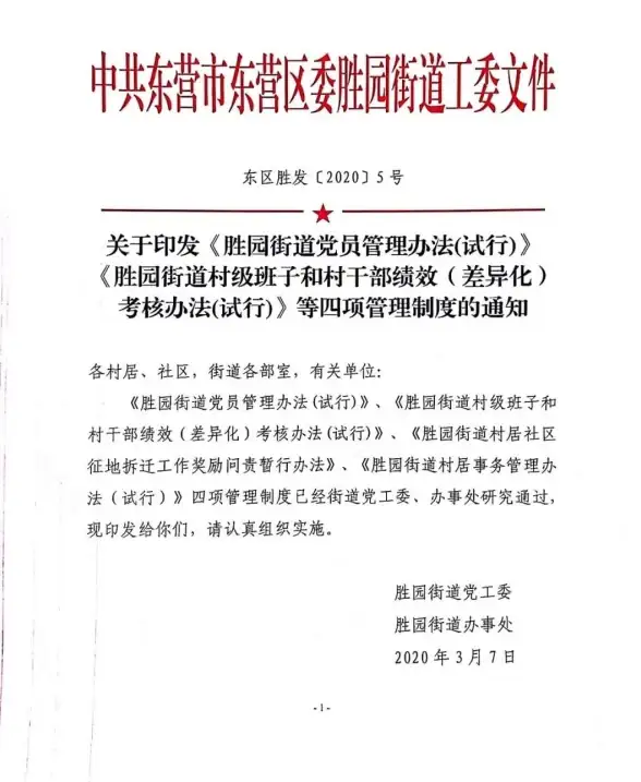 科技革新🍏苹果14手机：创新外观与强劲性能引领智能新体验