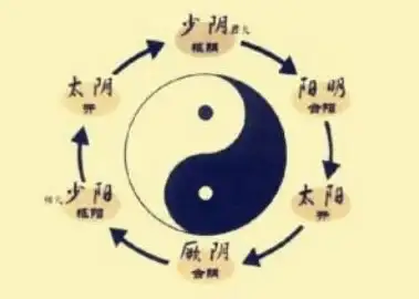 🔥攻略必看 全解析 实用干货 生存大作战》四维属性深度揭秘！