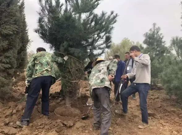 🔥重磅秘籍🔥游戏攻略🔥梦幻西游长安保卫战全技巧+周末活动必看指南