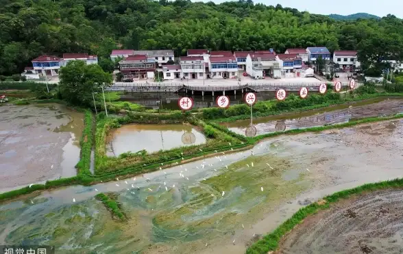 古镇风情🌿休闲体验｜六安同城游戏邀你畅游古镇，品味田园生活魅力