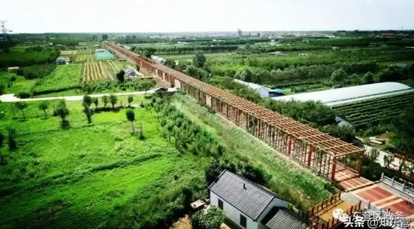 实战🔥干货｜三角洲行动全能药品配置攻略详解与应用秘籍