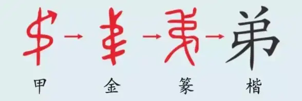 精选技巧✦汉字挑战✦趣味组合：弟字神操作，16个汉字轻松取胜！