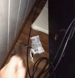 电脑装机必备🖥电源线接法详解：新手必看，小鱼带你全流程轻松掌握