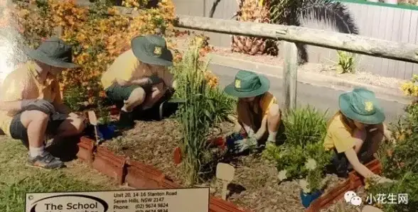 农场交流🌱作物养护技巧，分享高效农业管理方法