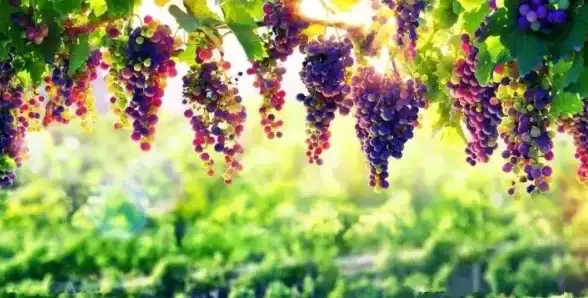 休眠管理💻电脑休眠设置全攻略：高效调整与优化睡眠模式的实用技巧