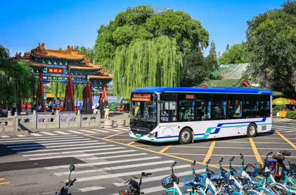还在为公交路线发愁？通卡出行APP新版一键解决你的出行烦恼！
