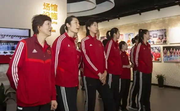 🔥热门潮流🔥角色解析🔥最新《排球少年：新的征程》PVE节奏榜全攻略！