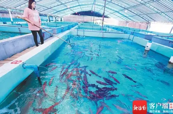 小型渔船或大型船舶如何安全航行？试试海e行APP的实用导航功能！