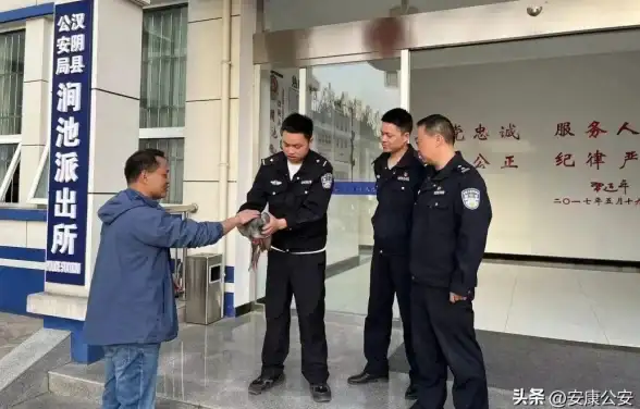 SD卡写保护｜小鱼教您解决sd卡写保护问题，简单步骤助你轻松解除