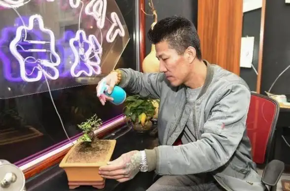 降级教程🍏系统还原｜详解苹果系统降级操作步骤与注意事项