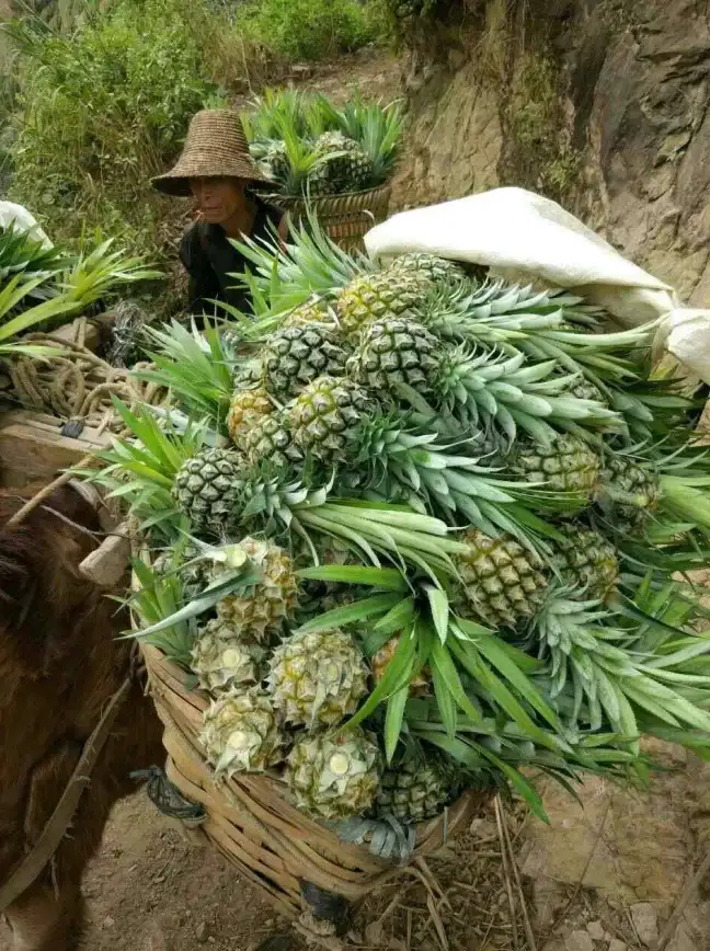 想一键匹配货车？试试运满满货主版，货主发货必备神器！