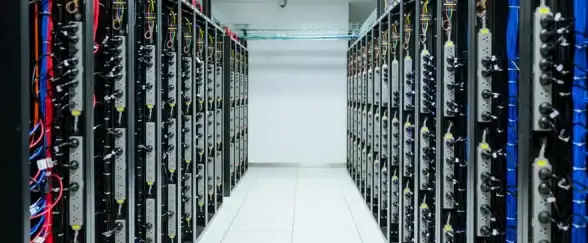 服务器租用 学生专属 服务器学生版究竟是不是专为学生设计？