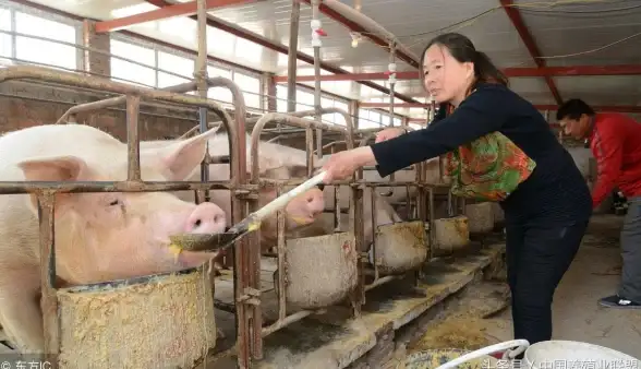还在为找不到好游戏发愁？百分网游戏盒海量资源等你来玩！
