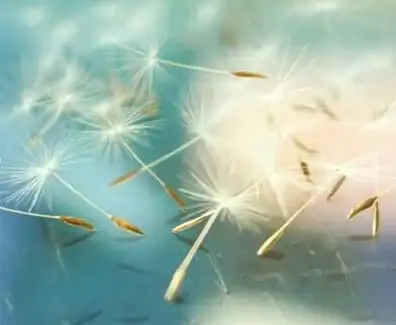 角色攻略★深度解析★实用搭配丨《流离的月光》局内技能全方位揭秘！