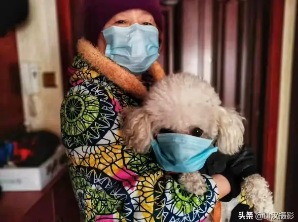 微信健康｜计步异常原因及解决办法全解析 微信运动不计步的详细应对措施