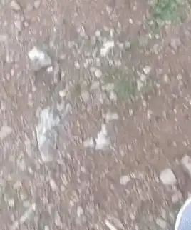 想实时掌握家中动态？看家王APP不就是你的最佳选择吗？