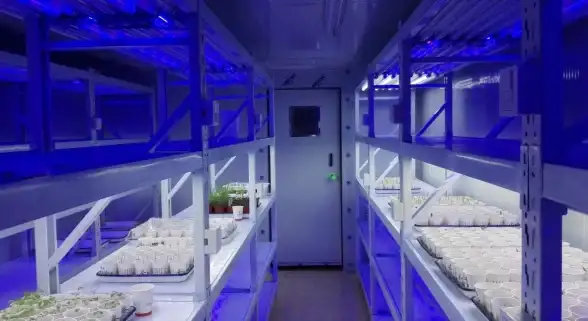 数据库备份 远程操作 如何通过命令行实现远程导出数据库的方法与步骤