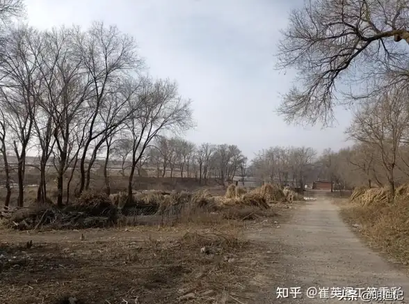 云服务,延迟速率-棉花云国内服务器在辽宁的表现