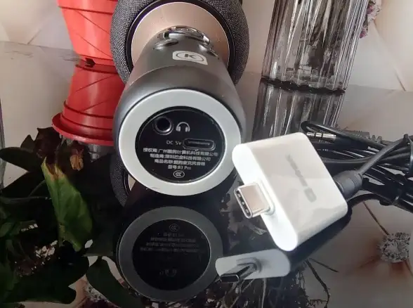还在找家庭KTV？智能K歌系统APP让你家秒变练歌房！