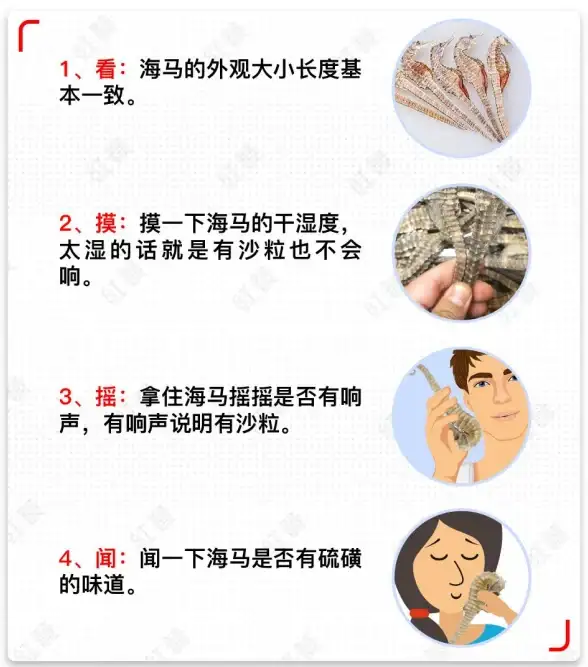 还在为采购商品发愁？树拍APP一键解决你的所有需求！