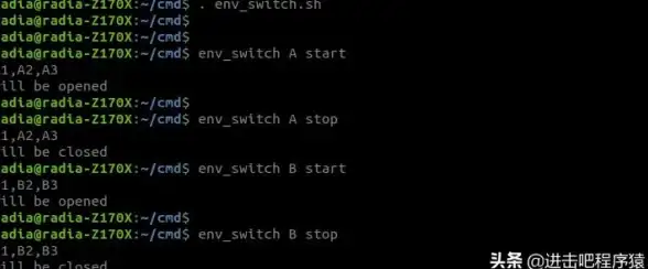 命令行工具 系统差异 CMD在Windows与Linux服务器中的主要区别解析